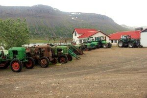 Nördlichster Deutz Fan 1