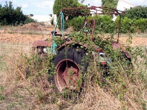 Deutz verrottet in Frankreich 3