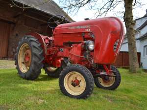 Rotnasenland Hoffmann