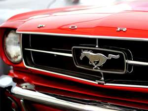 Mustang mieten
