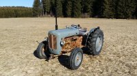 Ferguson FE35 Goldbauch