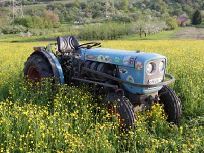 Eicher 3709 von 1975