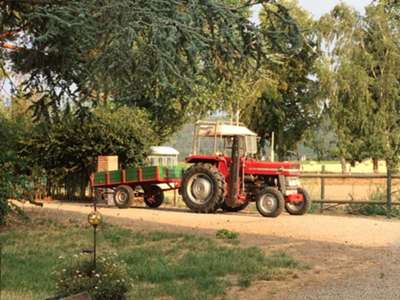 Massey Fergusson 133 Super