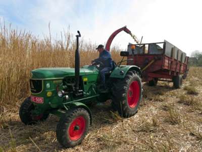 Deutz D6005 von 1967