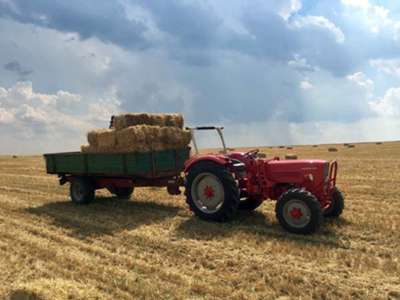 Güldner G40A von 1965